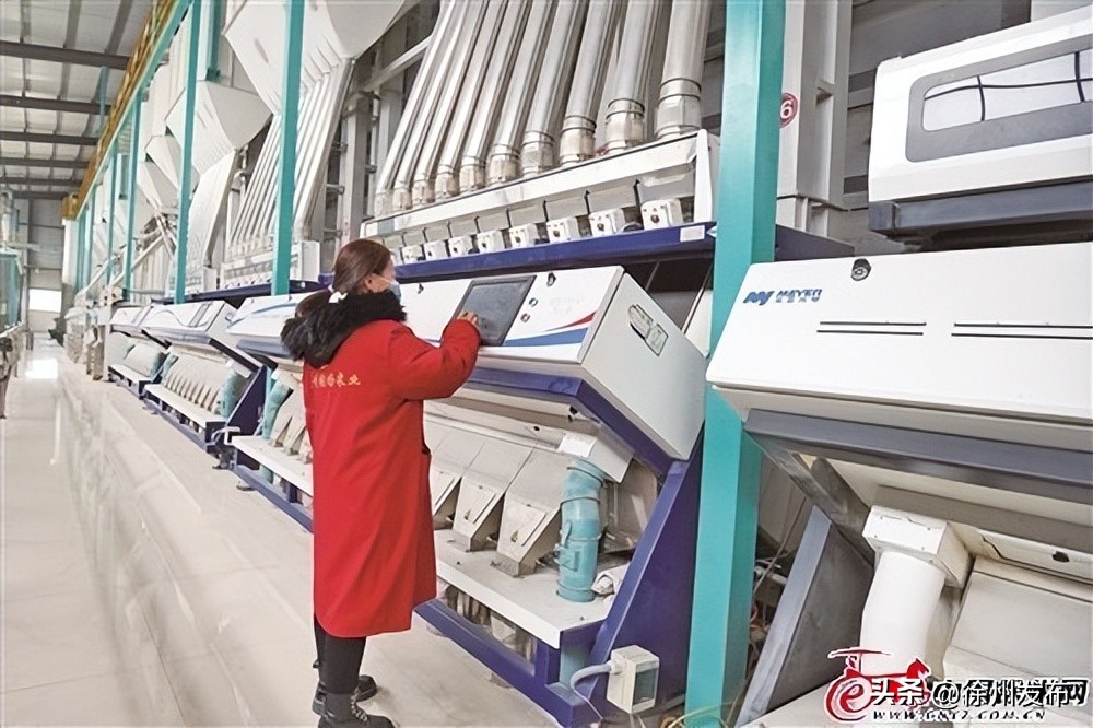 特色农产品产业化龙头,培育壮大特色农产品