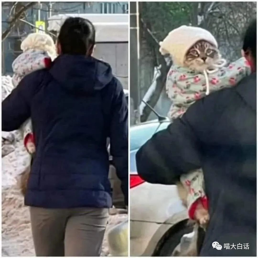 “千万别随便取淘宝名字！！”哈哈哈哈哈哈太社死了救命