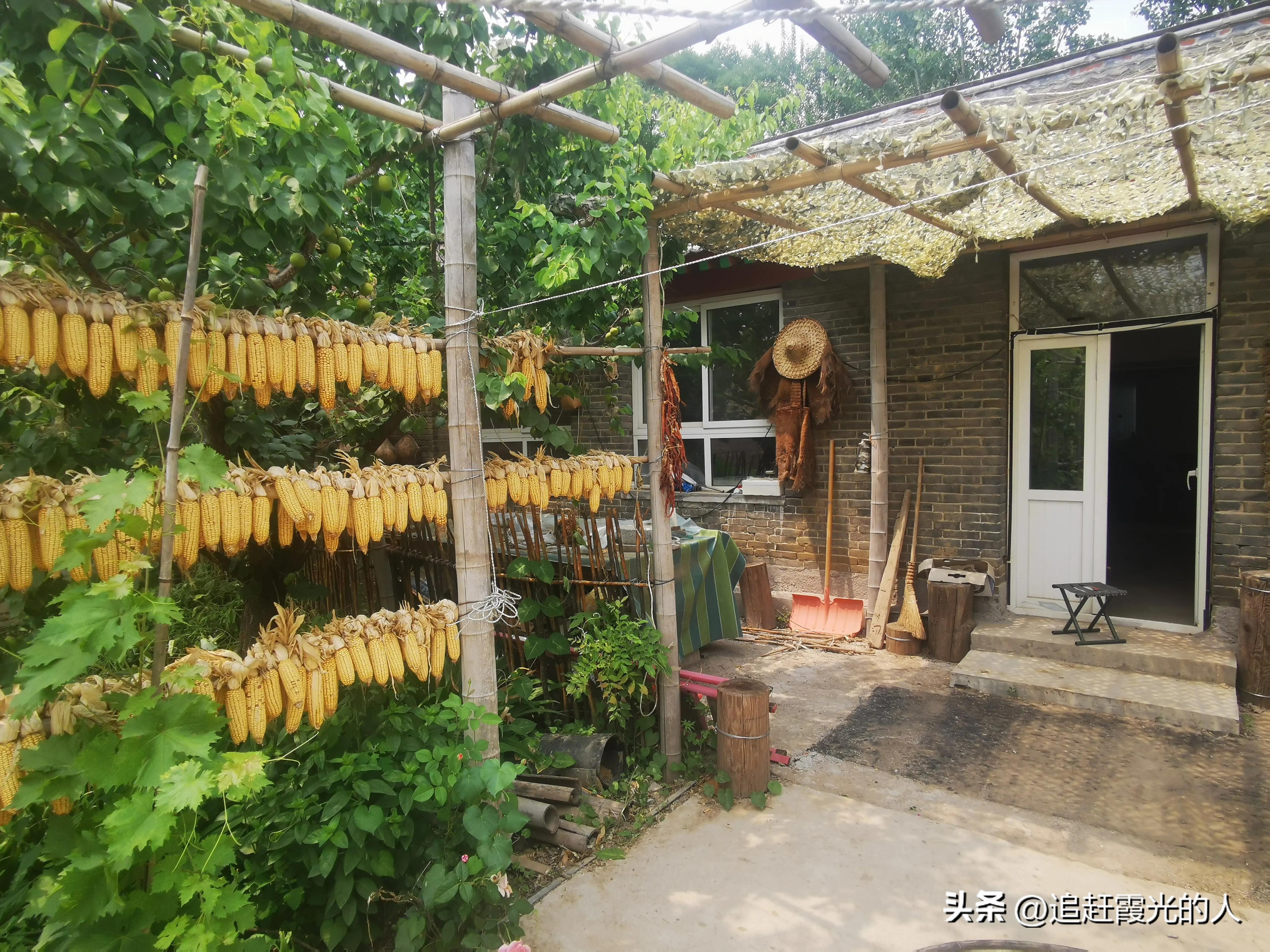 在哪里能租到北京的农家小院,北京哪里可以租农村小院