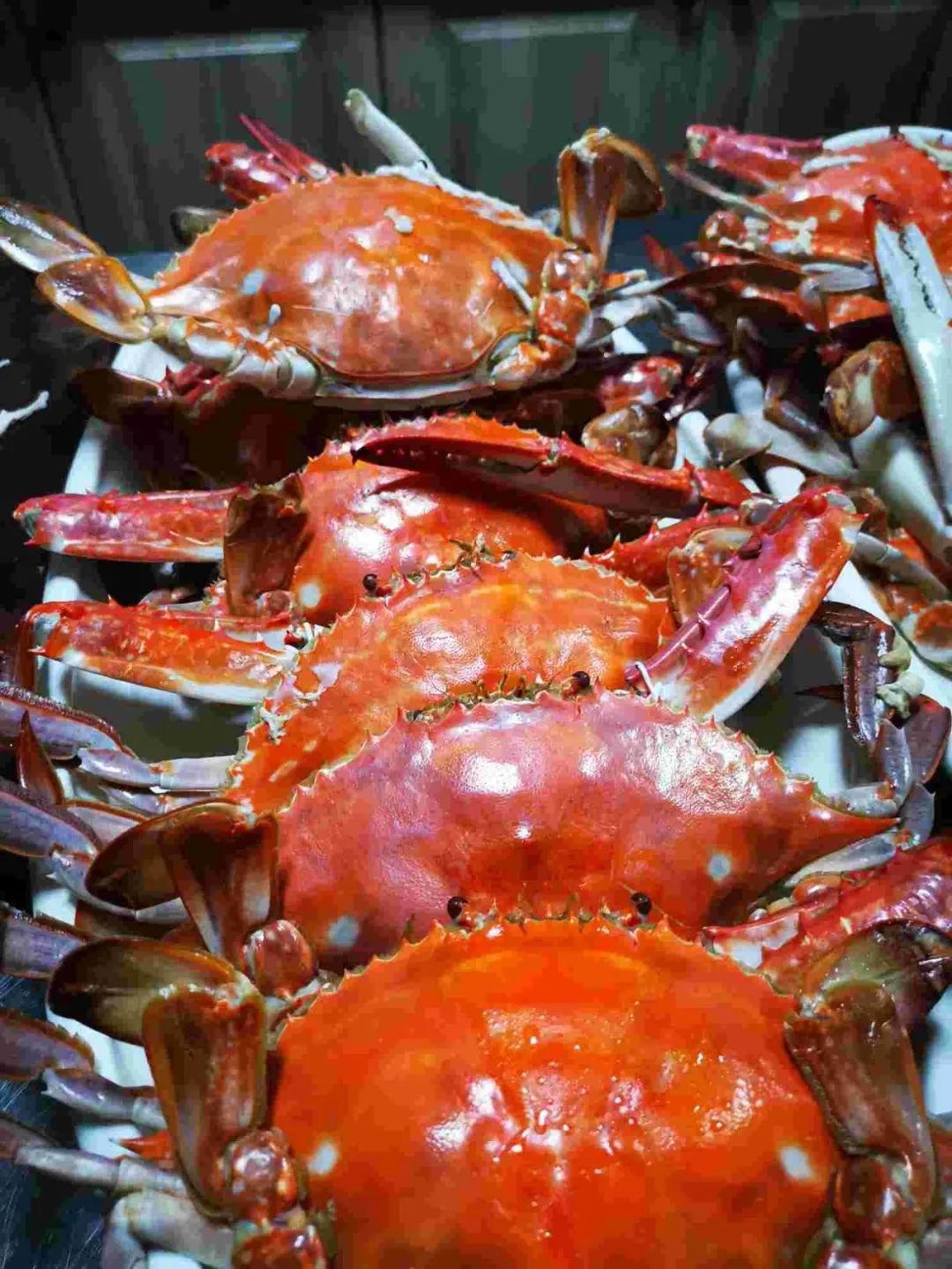 普陀山朱家尖周游记民宿,舟山朱家尖民宿3天2晚多少钱一间