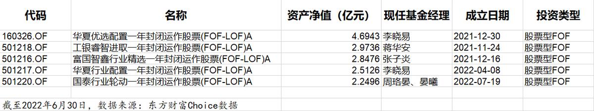 如果只买一只基金哪一个最值得买,110005这个基金可以长期持有吗