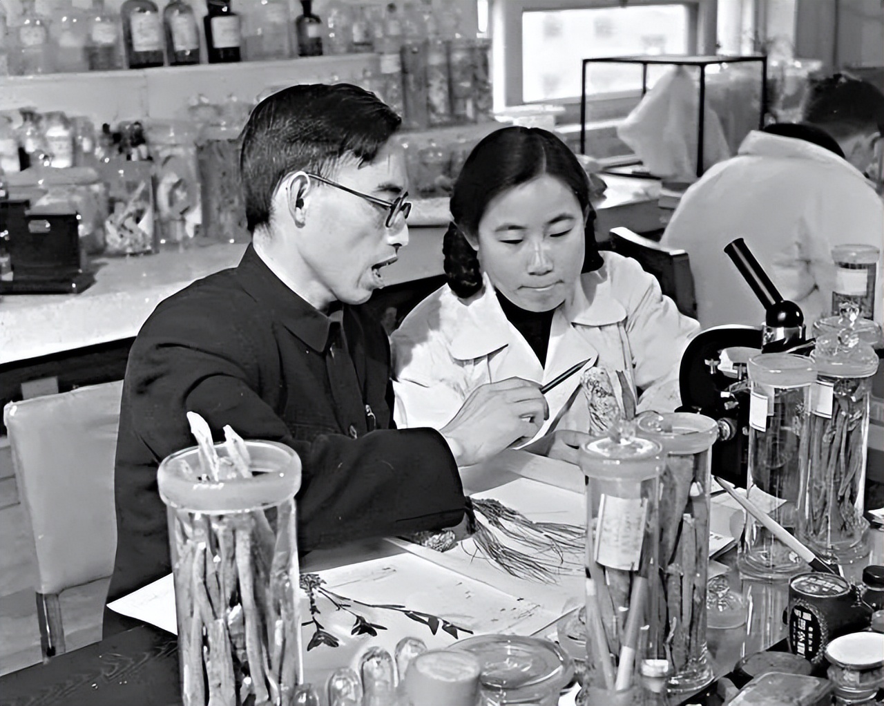 屠呦呦在四川找抗疟疾方子,屠呦呦关于青蒿素的文章