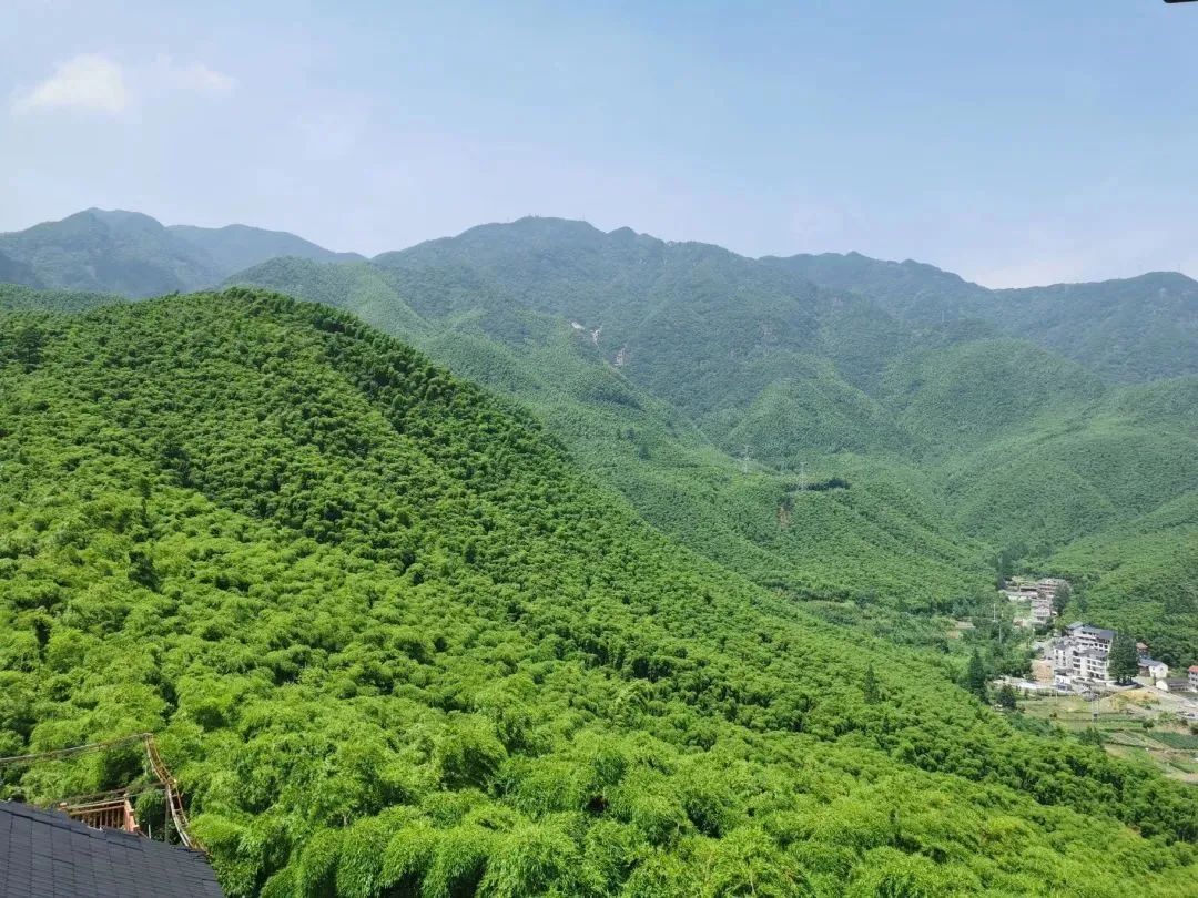 歌曲《少林寺》主题曲,少林寺歌曲原曲