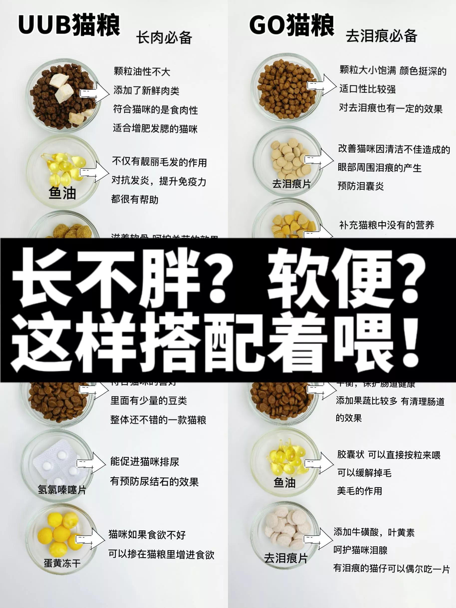 自用猫粮分享新手选粮不踩雷,猫粮囤货现场