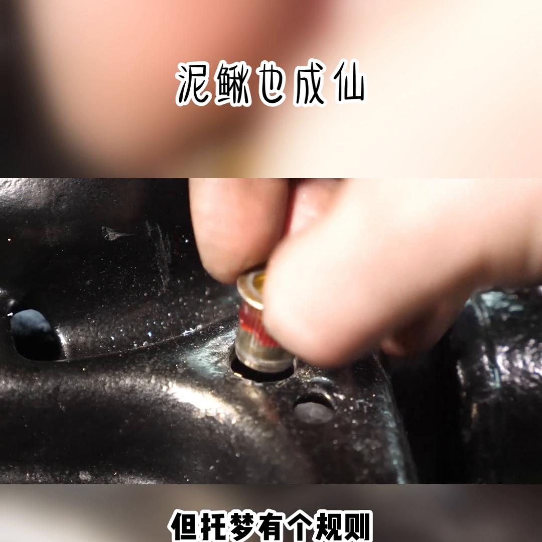 泥鳅也成仙#宝藏小说