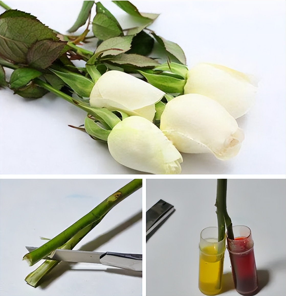 七夕最好的礼物推荐diy,七夕diy礼物