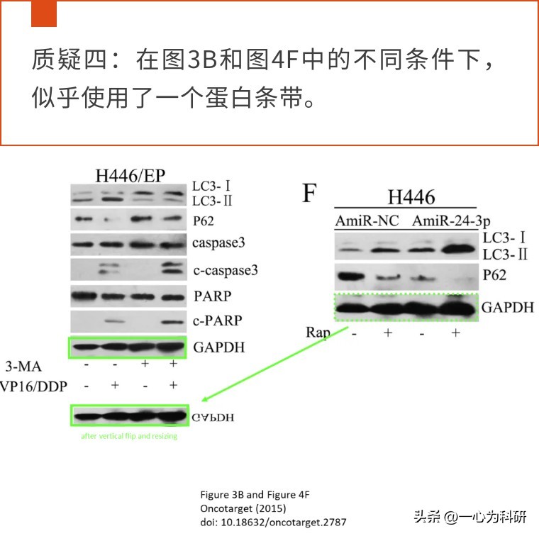 四年内质疑不断，*京大南**学医学院附属金陵医院的早期论文多图重复