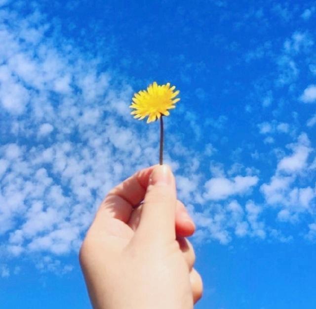 成年人的个性签名,成熟内涵,人人点赞!