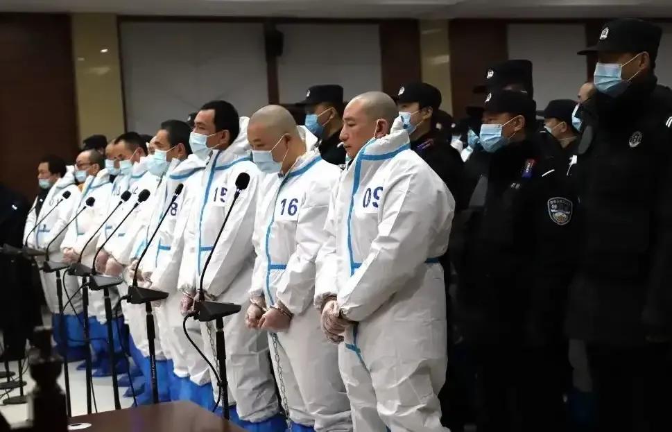 湖北潜江肖作军案最新进展,湖北潜江黑恶势力案件有哪些