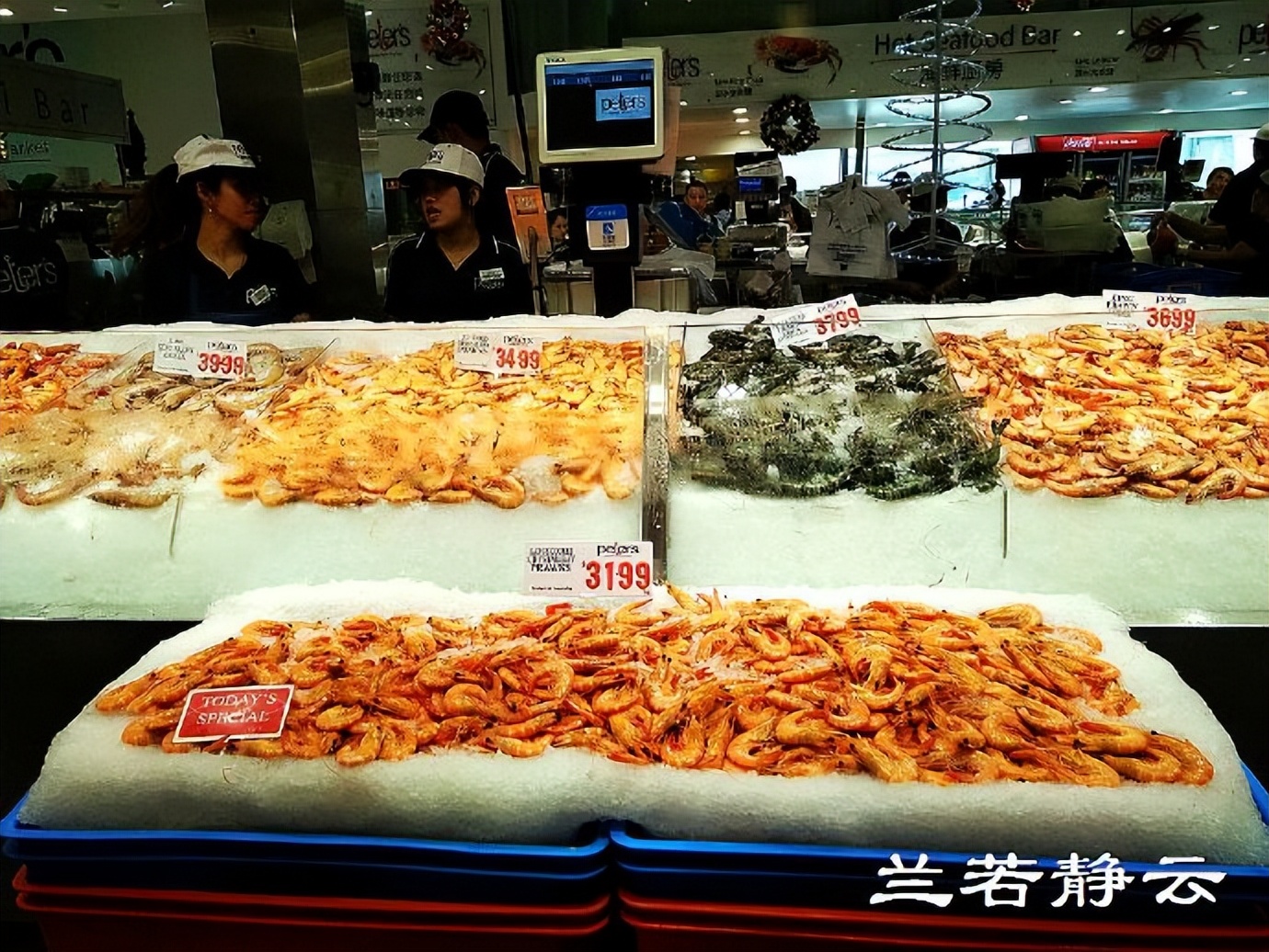悉尼最大的海鲜鱼市场在哪里,海鲜市场澳洲龙虾