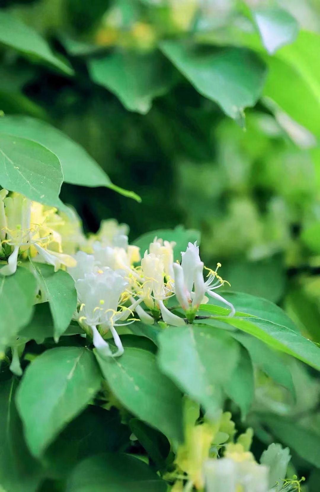 淇濇寔缇庡ソ蹇冩儏杩庢帴浜旀湀,浜旀湀瀵硅嚜宸辩殑缇庡ソ鏈熻