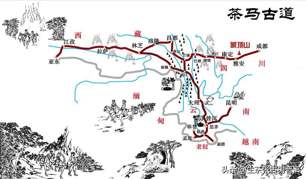 普洱茶八奇图片,普洱茶8代表什么意思