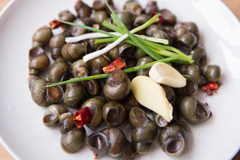 田螺放什么洗才洗得干净,清洗田螺里面放盐会死吗