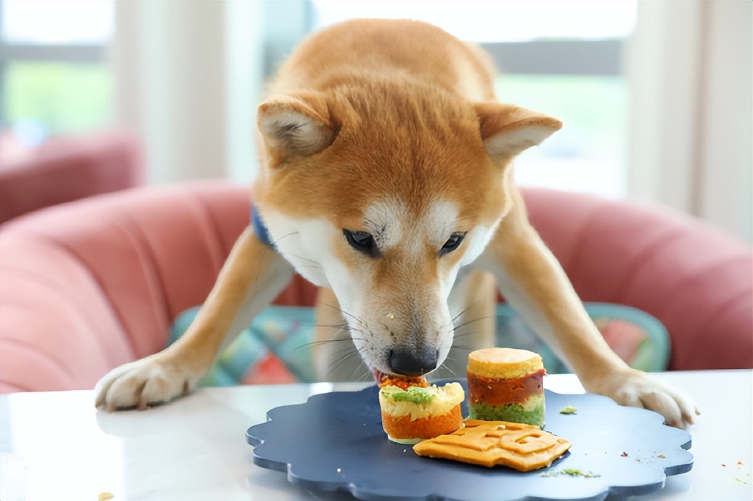 露营围炉煮茶周末旅游经济出新招,户外露营围炉煮茶需多大投资