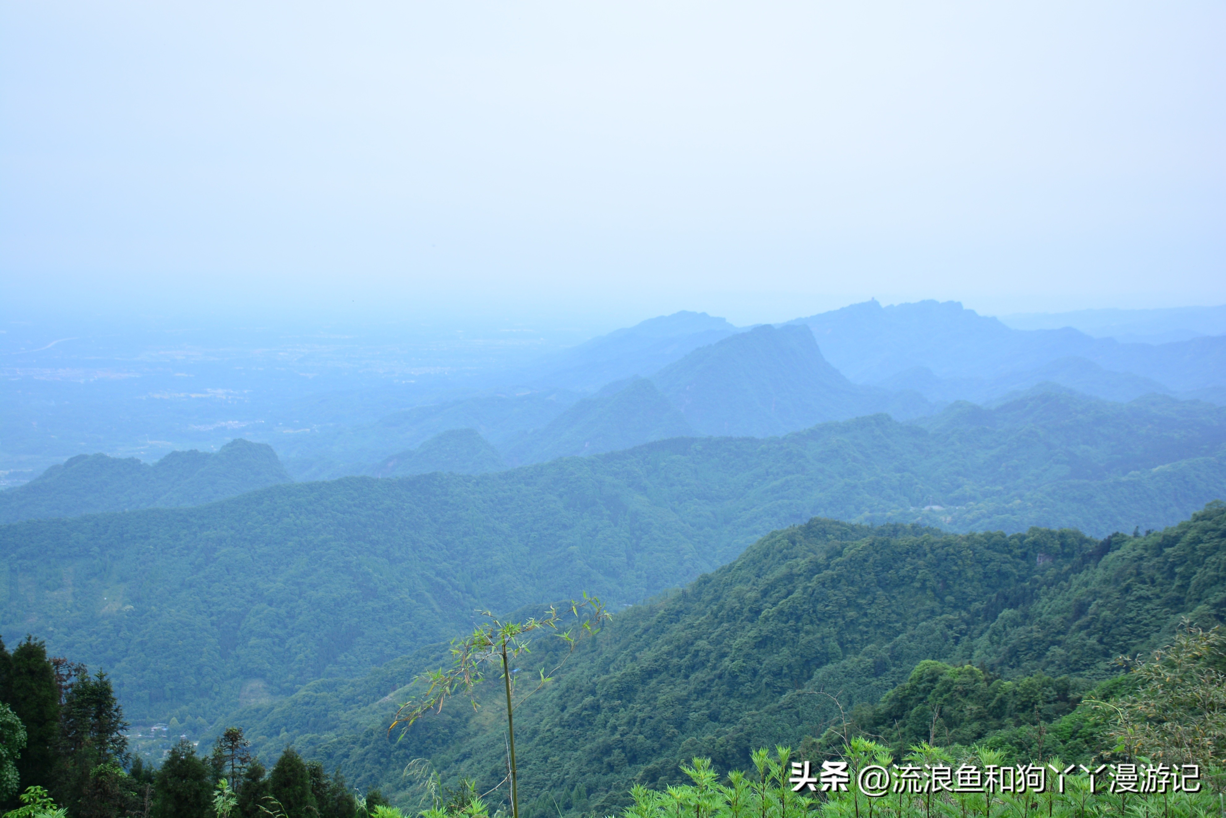 四月份成都近郊一日游好去处,2022成都近郊看雪一日游最佳去处
