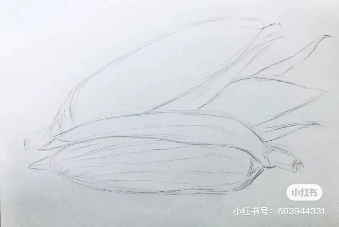 针管笔画线条练习,针管笔黑白装饰画线描
