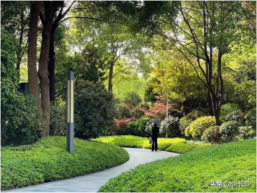 半年拿下35亿，硬核运达再次引领豪宅市场