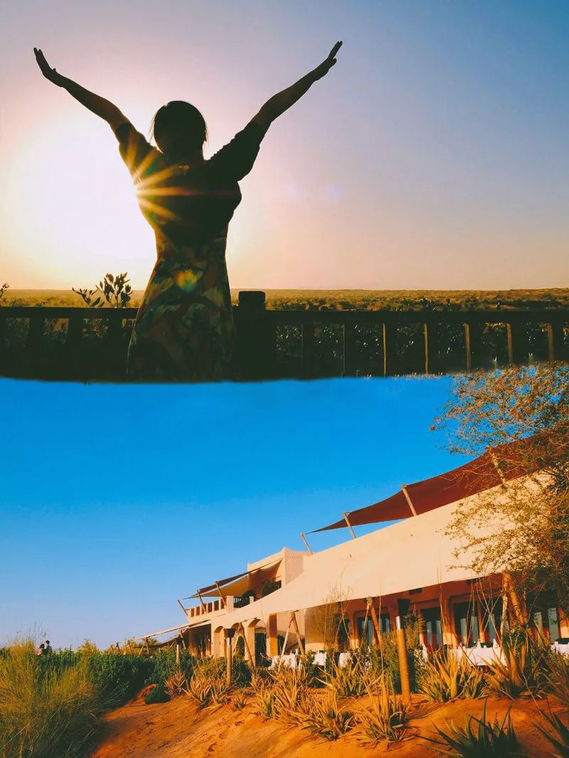 花了5.5w,只为在迪拜的沙漠里和羚羊相伴入睡