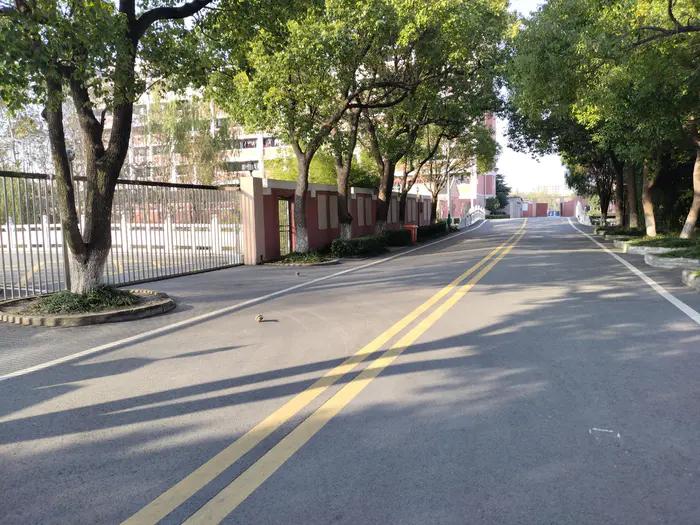 画与景,幼儿长卷画景