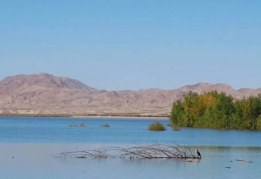 今非昔比下一句怎么说呢,今非昔比翻译