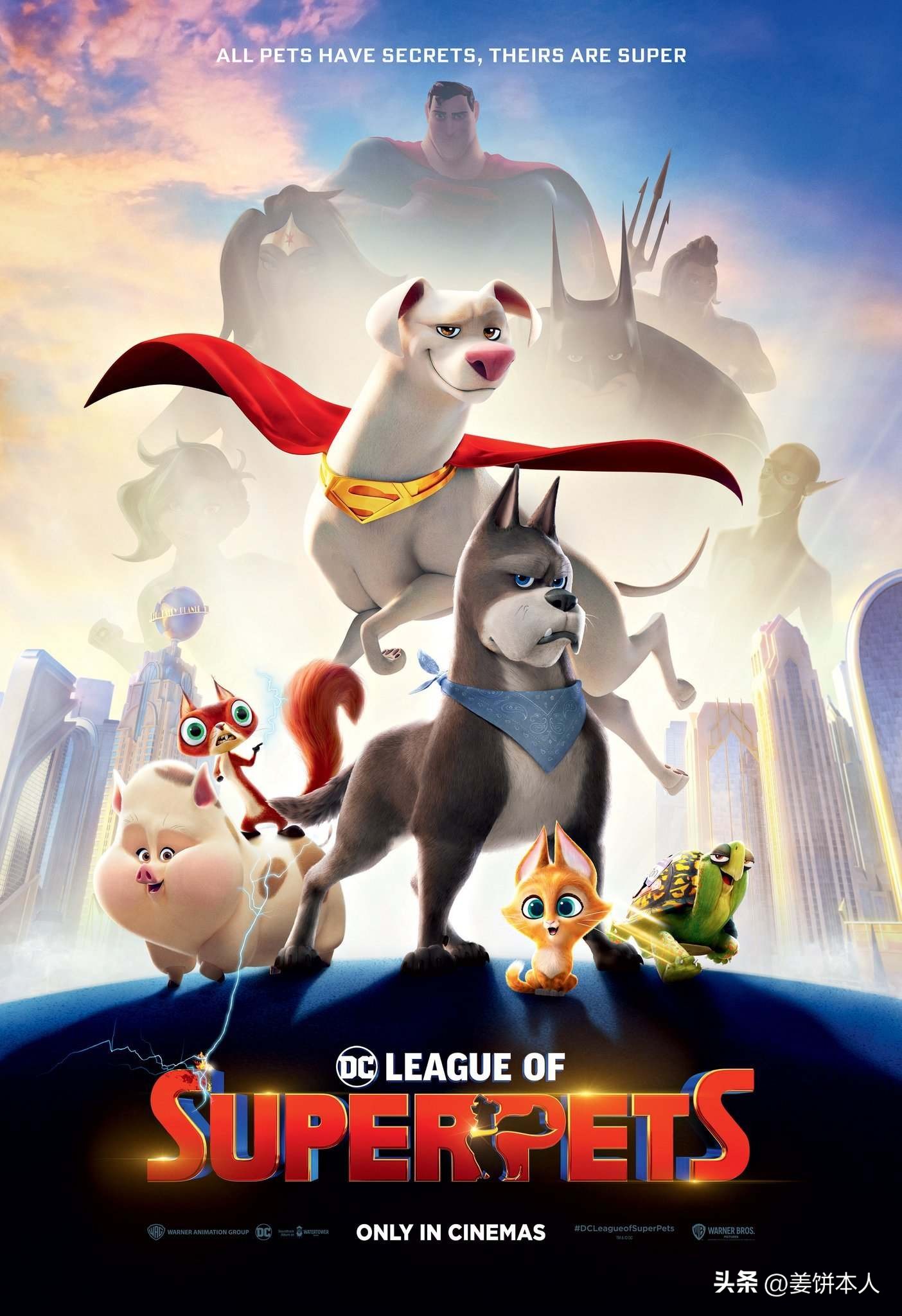 2022新番观察八月篇