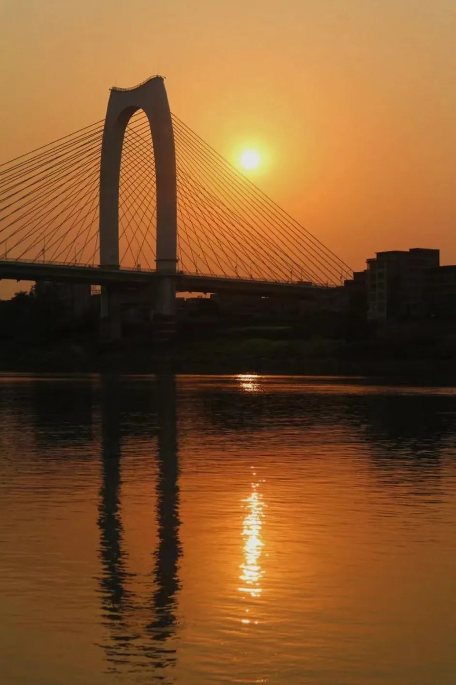 回到早睡早起的日子,回老家朝九晚五