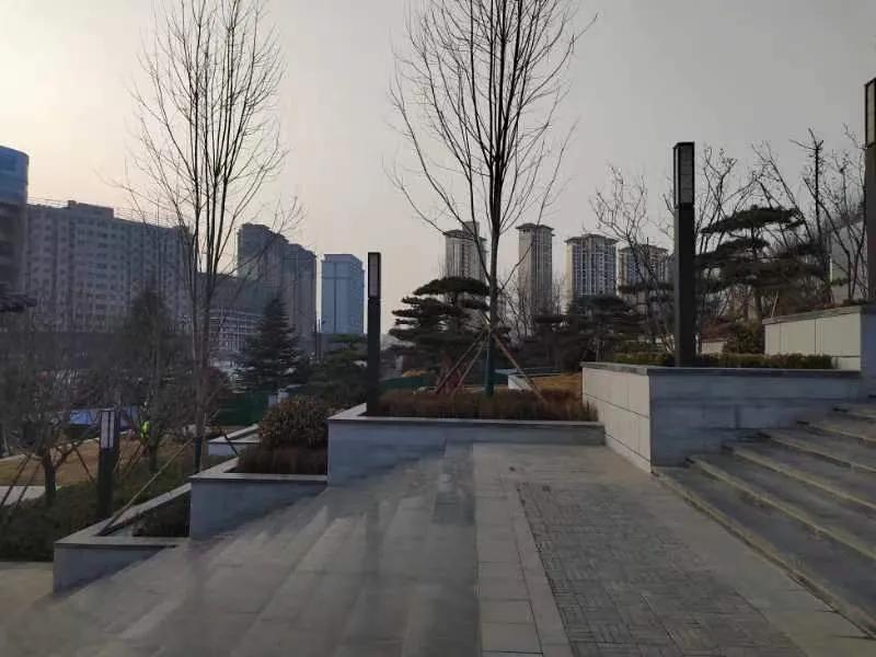 龙山公园攻略,龙山公园一日游