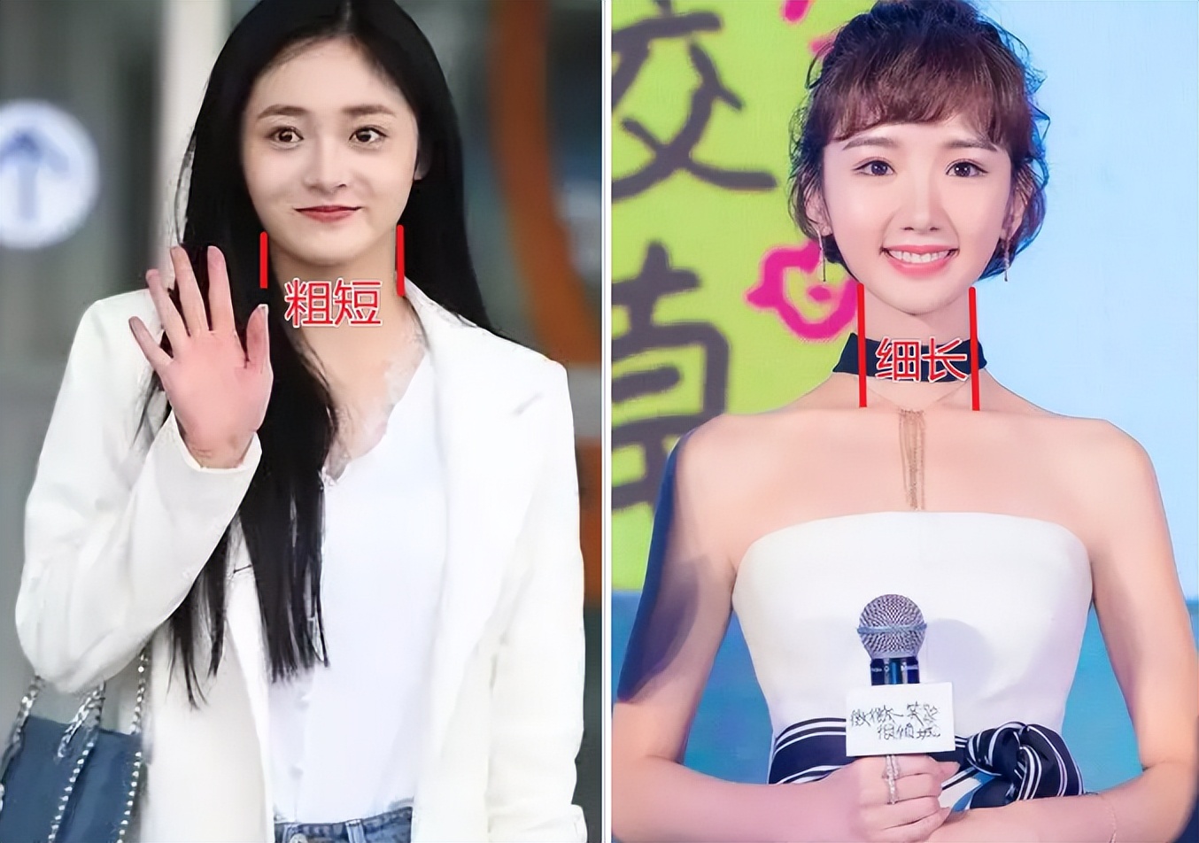 脖子短怎么成为天鹅颈,如何练出天鹅般的美颈