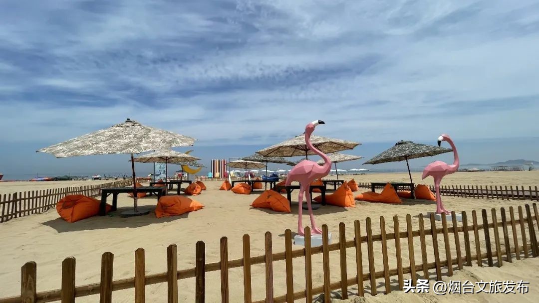 金沙滩攻略从早到晚,金沙滩必打卡