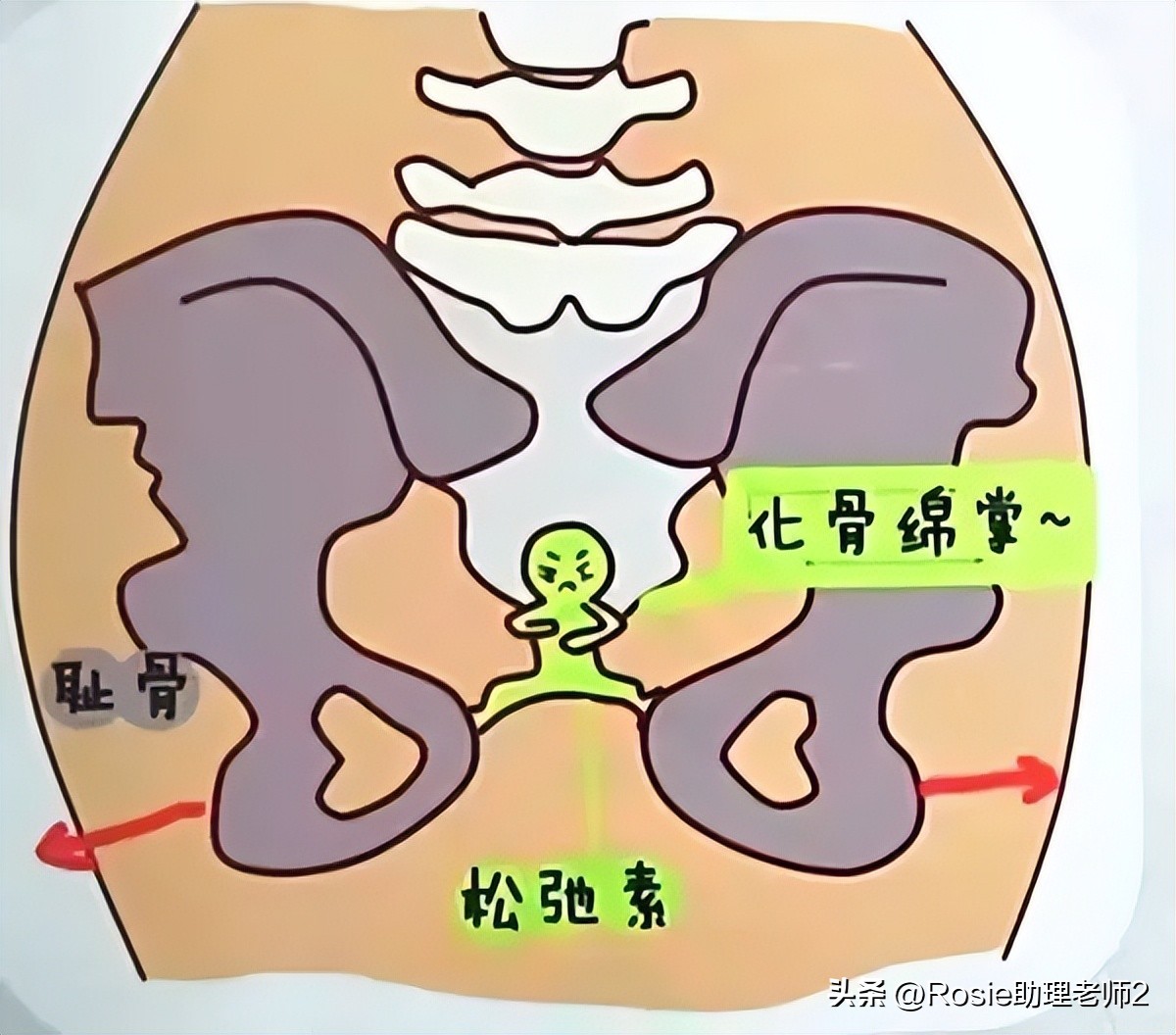 谢娜产后恢复,谢娜产后如何修复