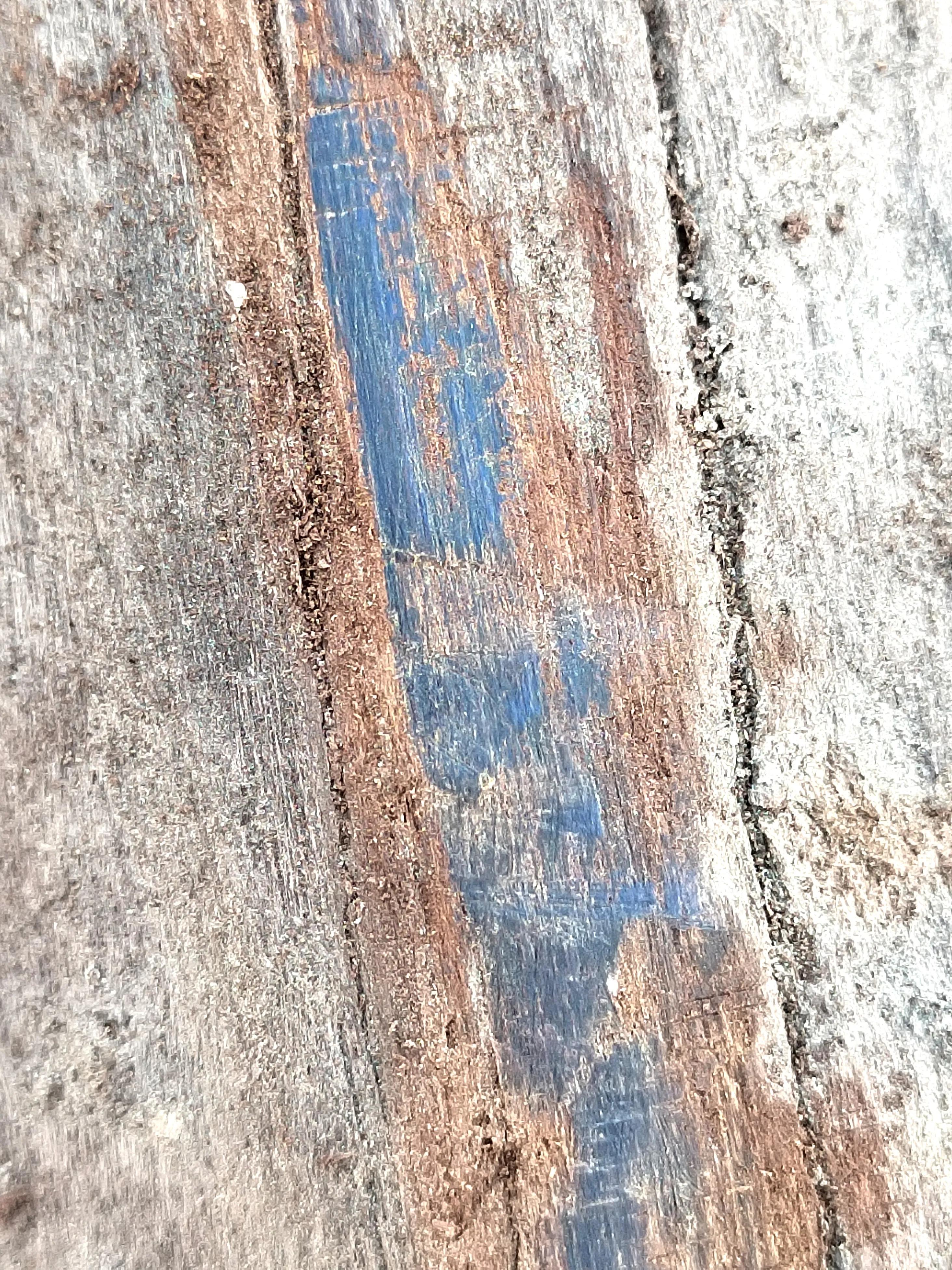 白奇楠莺歌绿奇楠黑奇楠哪个好,黑奇楠和白奇楠沉香哪个好