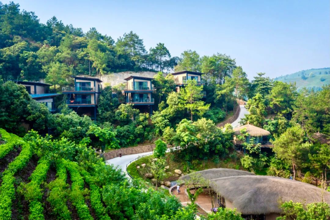 安吉旅游度假,安吉好玩还是千岛湖好玩