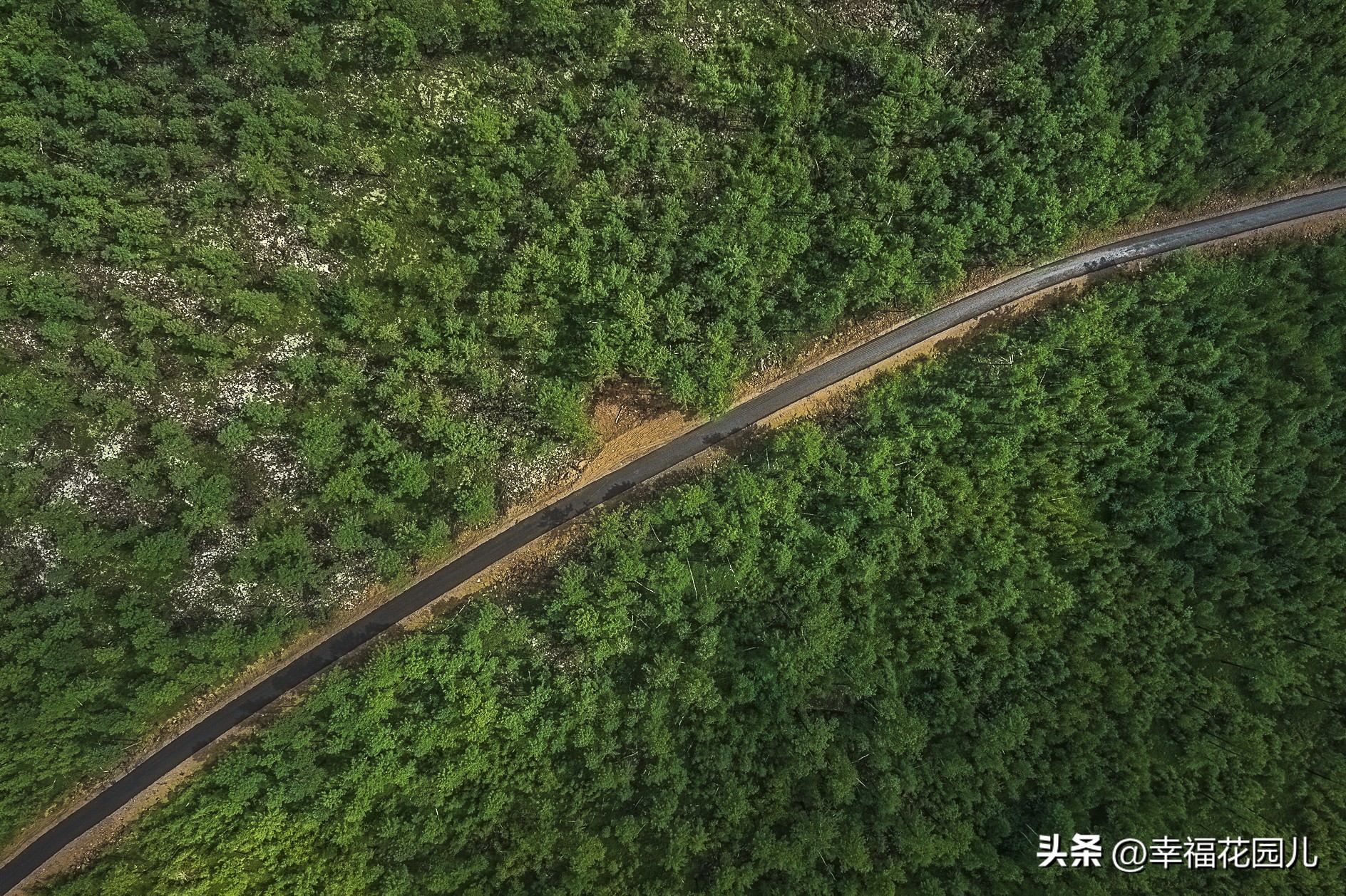寻北之旅长白山,漠河地质公园