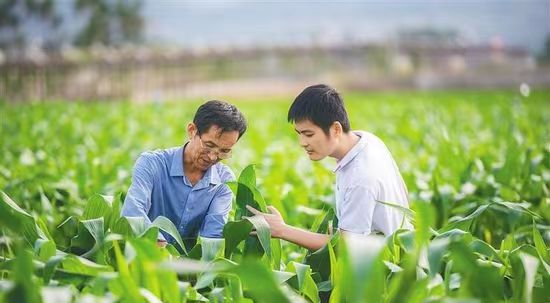选什么专业比较有前途更赚钱,目前冷门专业十大最吃香专业