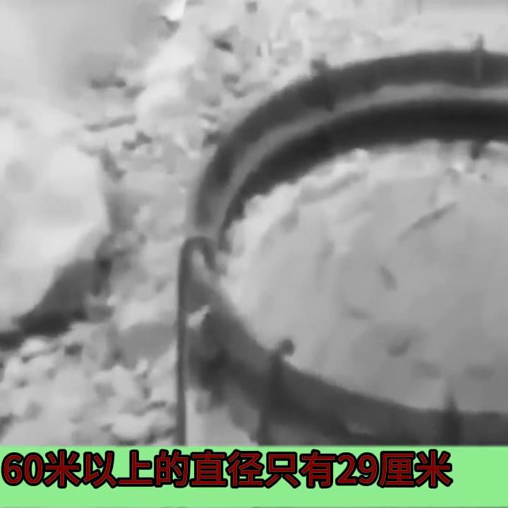 老汉在荒野发现女尸后续,老汉在荒地发现女尸