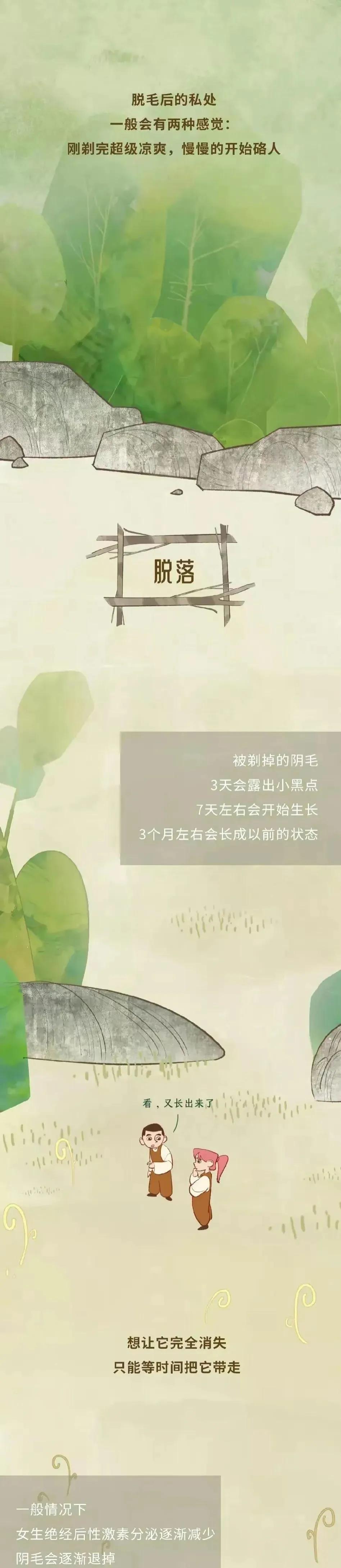 人类阴毛从出生到脱落的全过程