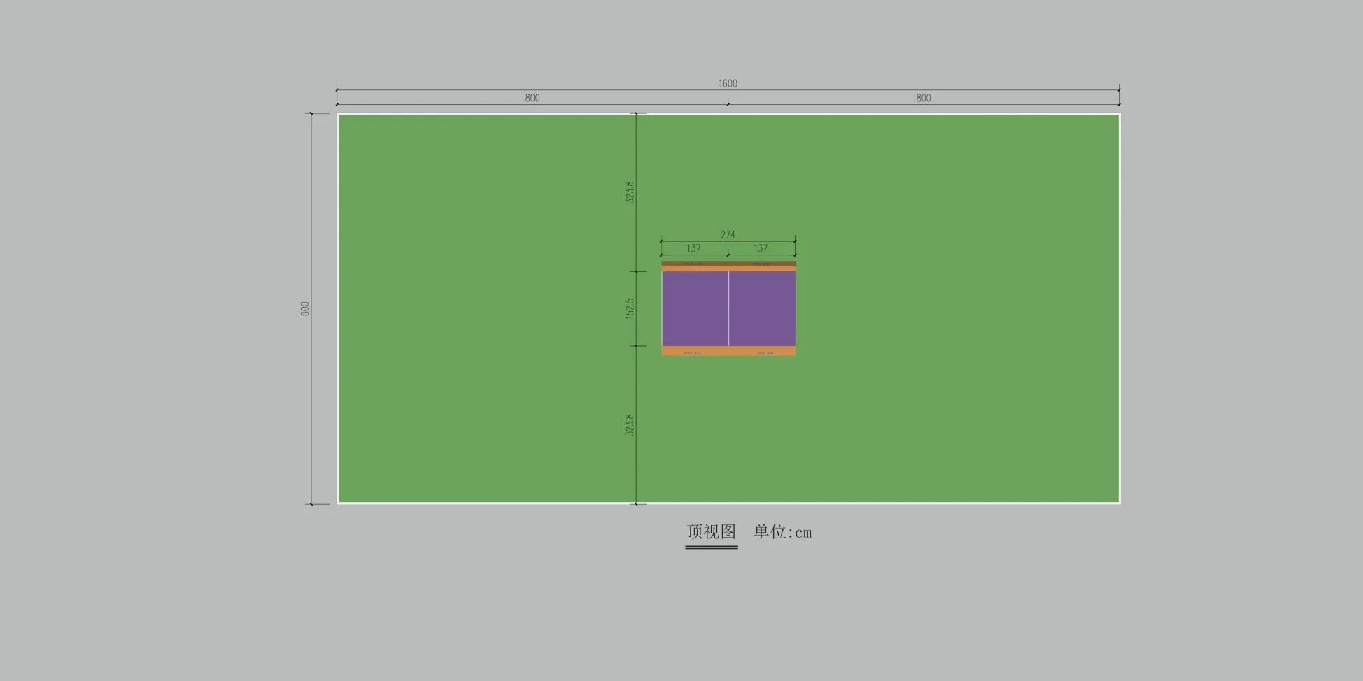 新兴运动有什么,新兴运动项目开发与利用