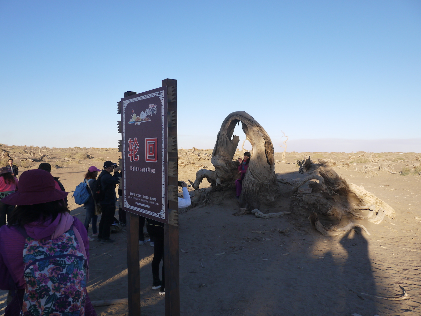 北京自驾额济纳胡杨林十天攻略,从北京到额济纳胡杨林线路