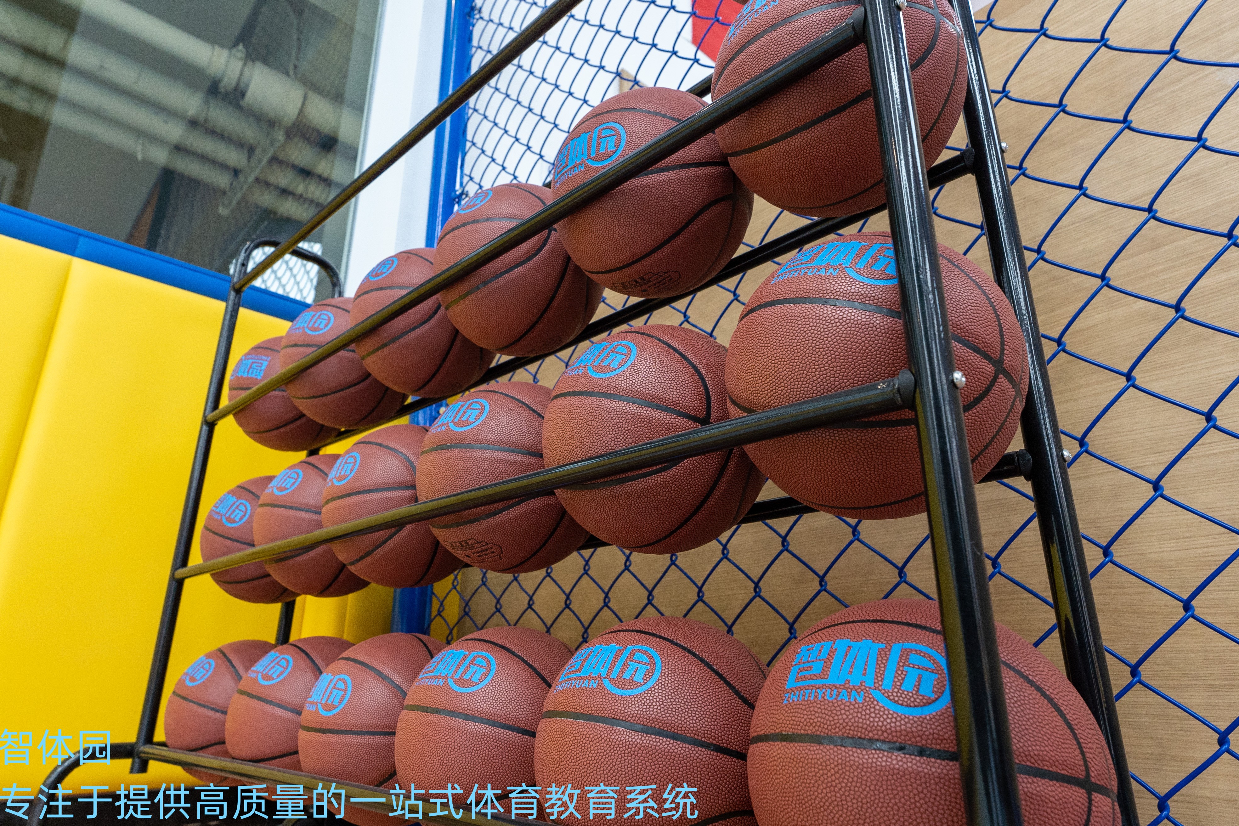 小孩学篮球基础动作有哪些,幼儿篮球趣味体能训练方法