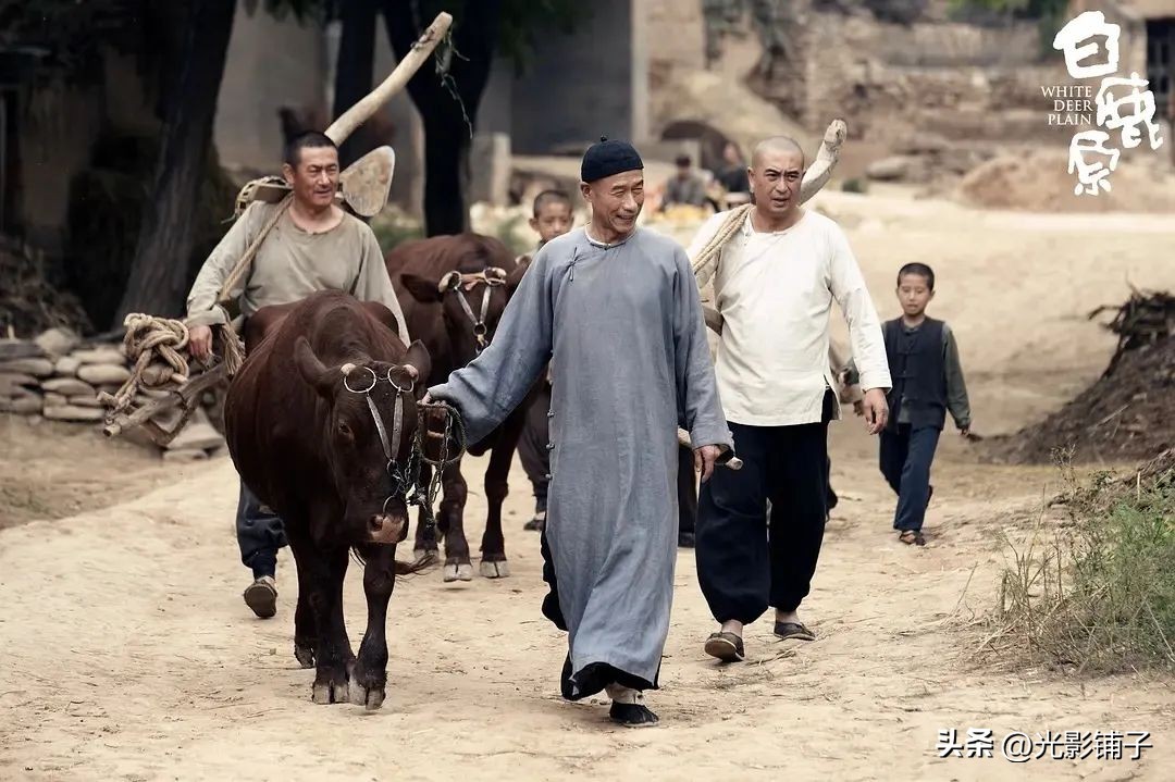 推荐近十年好看的年代剧,值得反复重温的八部国产电视剧