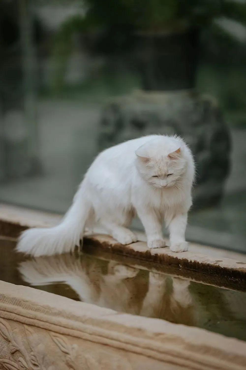 赵明明：上班摸鱼，是我的梦想!