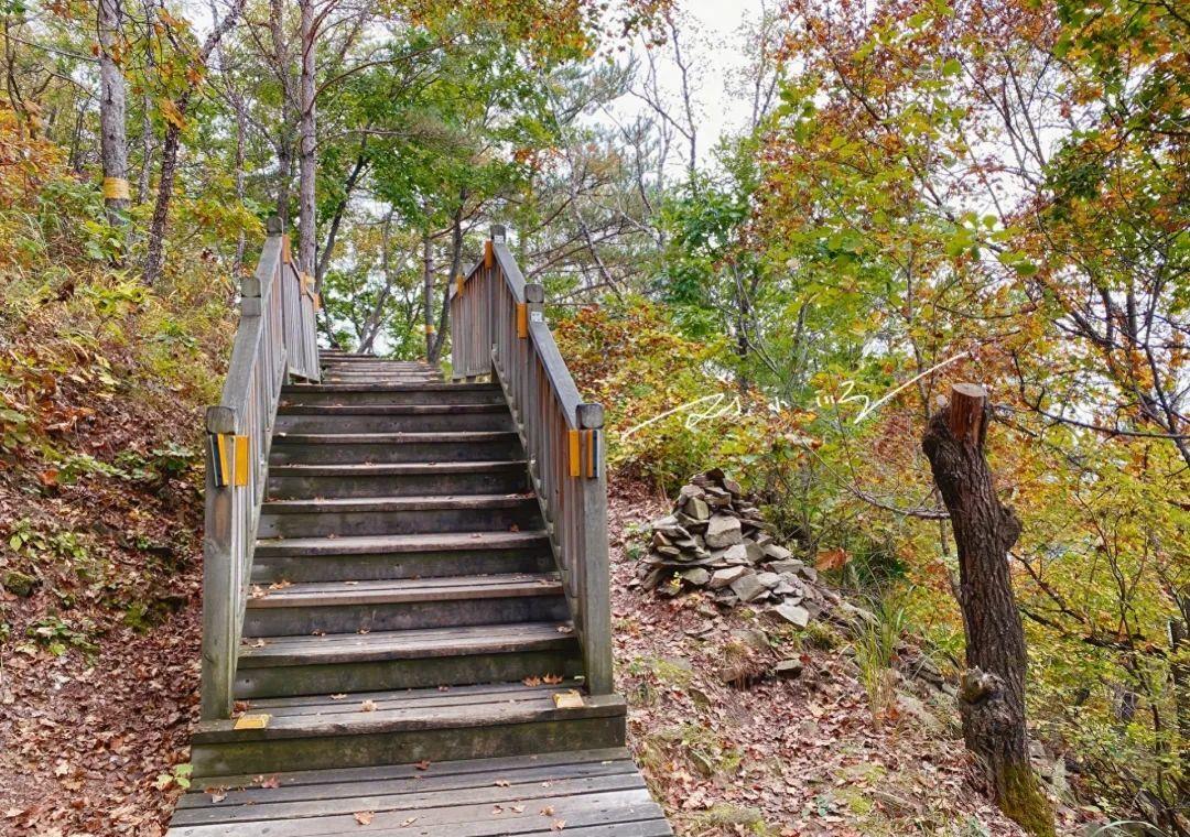 延吉的免费小众景点,游览延吉视频