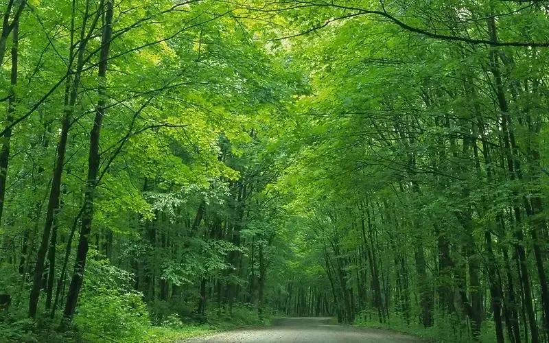 2022年壬寅年虎年日历表,2022年壬寅年开始走甲戌大运