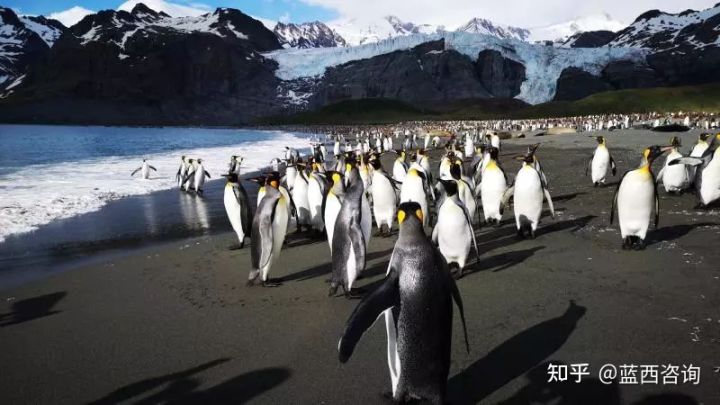 Chemtalk第五期赵妍—做一名“铜头铁腿蛤蟆肚子婆婆嘴”的安全人