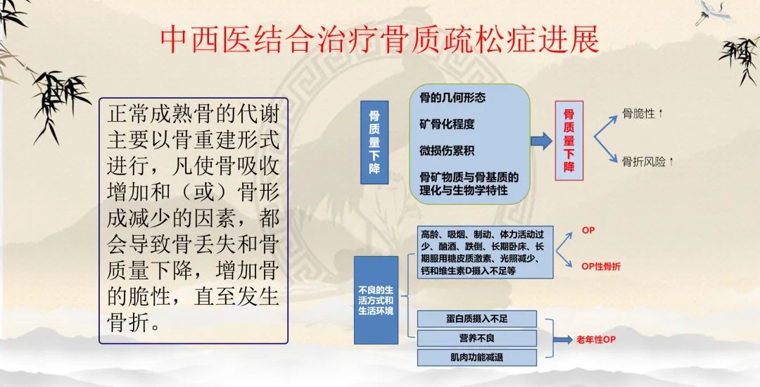 骨质疏松症的讲座总结,骨质疏松中医辨证施治