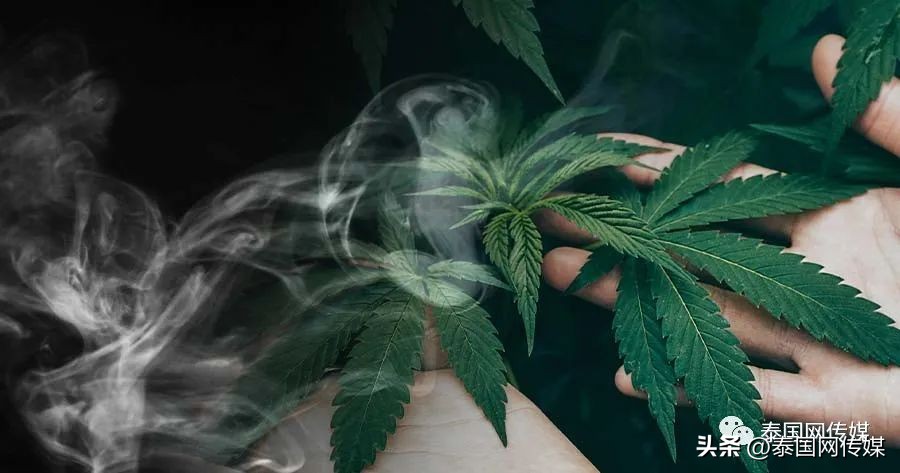 回国要接受随机抽检？！那些碰过*麻大**的人，真的要“完蛋”了？