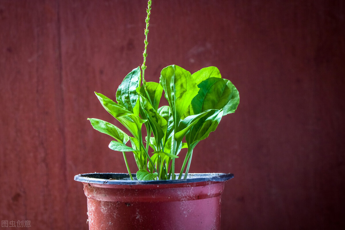 尿线细尿不尽排尿费力,年轻人前列腺肿大导致尿线细