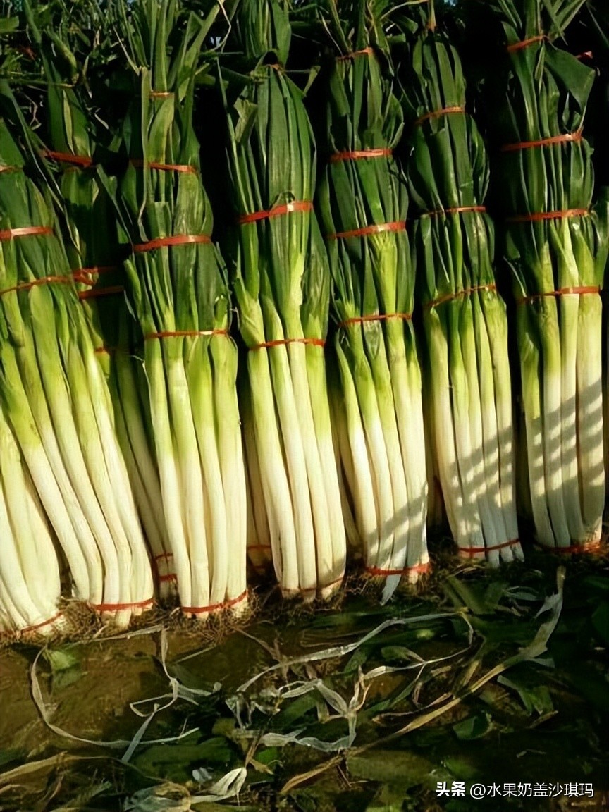 中国各地有名的特产是什么,中国各省市的著名特产