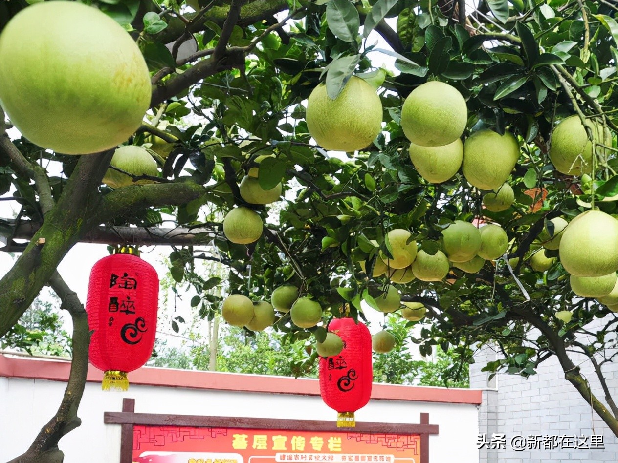 邂逅成都的100个生活细节,邂逅成都的一百个细节