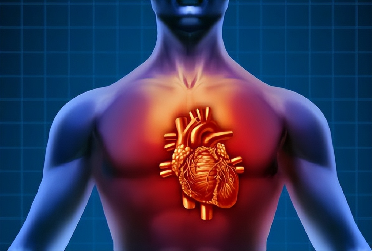 人兽真能杂交？日本批准“人兽杂交嵌合体试验”，福音还是灾难？